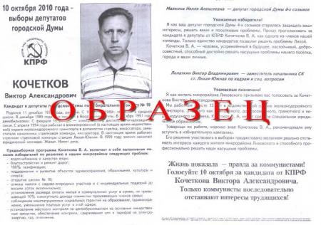 Автобиография кандидата в депутаты образец написания